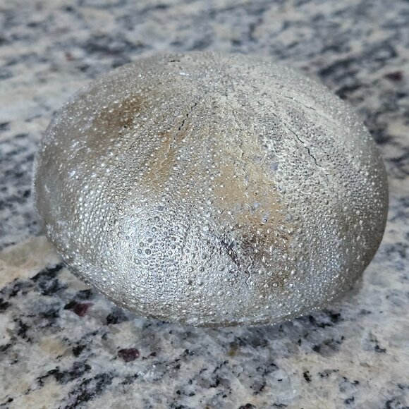REGINA ANDREW SILVER SEA URCHIN COASTAL BEACH VASE FILLER HOME TABLE DECOR - Picture 4 of 6